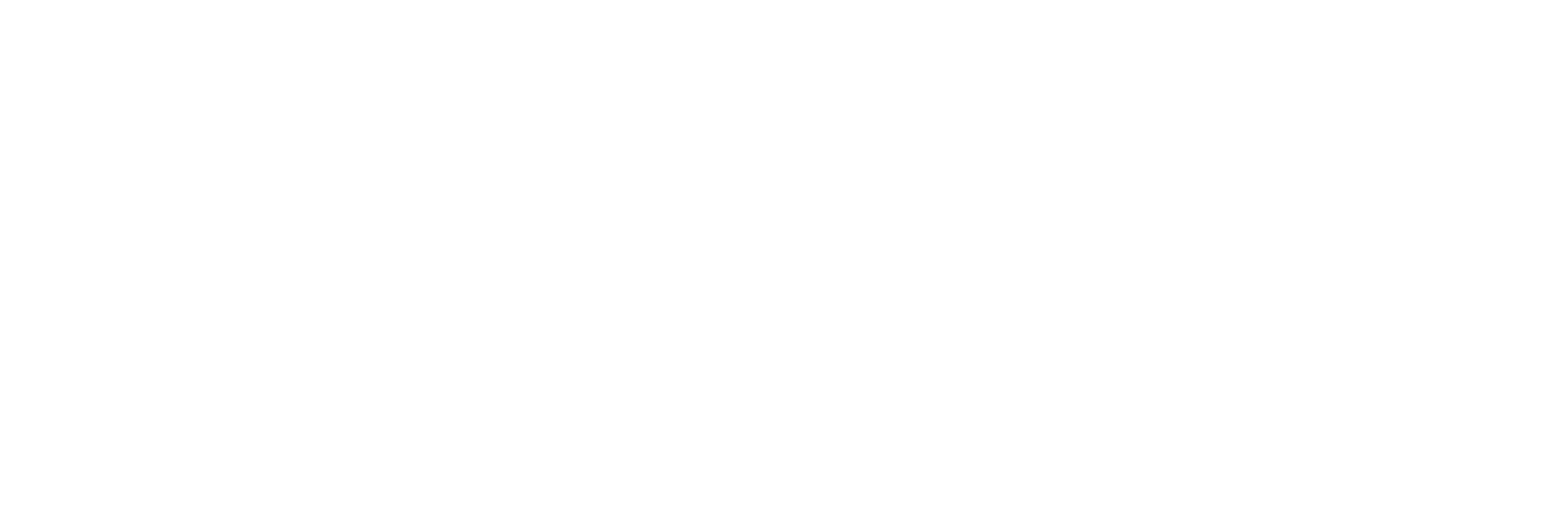 Cybercon Logo